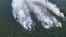 Der Großbrand im Müritz-Nationalpark breitet sich weiter aus. Foto: Marcus Mohnfeld/Landkreis Mecklenburgische Seenplatte/dpa
