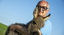 Alois Rapp hält ein Mini-Eselfohlen auf dem Arm. Seit Jahren züchtet Rapp die kleinen Esel. Foto: Stefan Puchner/dpa