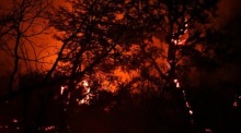 Ein Waldbrand wütet nahe Cholila in der argentinischen Provinz Chubut, wo extreme Wetterbedingungen die Feuer weiter anfachen. Foto: epa/Stringer