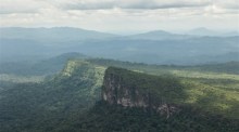 Eine allgemeine Ansicht des Amazonas-Regenwaldes während einer brasilianischen Reise. Foto: EPA-EFE/Raphael Alves