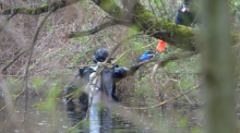Ein Taucher der Polizei sucht in einem Gewässer nach der Leiche einer mutmaßlich getöteten Frau. Nun wurde wohl die Leiche der Mutter einer am Rhein bei Hockenheim tot aufgefundenen Frau entdeckt. Foto: René Priebe/dpa