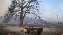 Ein beschädigtes Auto steht vor einem verbrannten Baum in der Nähe von Loutraki. Giannakouris/AP/dpa