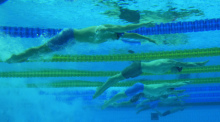 Weltmeisterschaft, 100 m Freistil, Männer: Die Schwimmer in Aktion. Foto: Petr David Josek/Ap/dpa