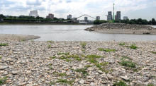 Ein trockengelegtes Flussbett des Rheins in Düsseldorf. Foto: epa/Sascha Steinbach