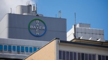 Das Logo des Pharma- und Agrarchemiekonzerns Bayer am Berliner Standort des Unternehmens. Foto: EPA/Clemens Bilan
