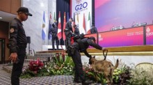 Mitarbeiter der Sicherheitskräfte des Präsidenten mit einem Spürhund inspizieren das Podium an einem der Veranstaltungsorte des G20-Gipfels in Nusa Dua, Bali. Foto: epa/Mast Irham