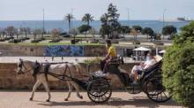 Die Touristen genießen eine Fahrt mit einer Pferdekutsche am Karfreitag in Palma de Mallorca. Foto: epa/Atienza