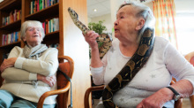 Gerda Hachmann (95) streichelt die Boa Constrictor Lilly im Senioren- und Therapiezentrum Barsbüttel. Foto: Ulrich Perrey/dpa