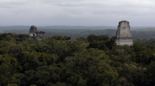 Blick auf die Ruinen von Tikal, nahe der neu entdeckten Maya-Stätte „Los Abuelos“ in Guatemala. Foto: dpa/Sandra Sebastian