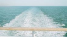 Foto: Annie Spratt Für Unsplash+