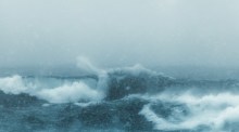 Foto: Unsplash/Hans Isaacson