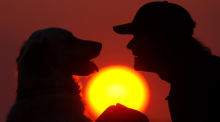 Im Sonnenuntergang nahe dem brandenburgischen Jacobsdorf spielt ein Mann mit seinem Golden Retriever Hund. Foto: Patrick Pleul/dpa