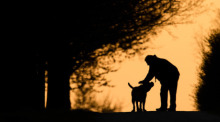 Ein Mann streichelt kurz nach Sonnenaufgang einen Hund auf einem Feldweg. Foto: Julian Stratenschulte/dpa
