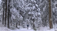 Ein Skiläufer ist im verschneiten Thüringer Wald unterwegs. In Gera wird wegen Eispanzern vor umstürzenden Bäumen und abbrechenden Ästen gewarnt. Foto: Martin Schutt/dpa