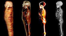 Das digitale Abbild zeigt das Innere der Mumie «Goldjunge» in vier Schichten. Mit Hilfe eines CT-Scanners haben Wis senschaftler eine 2300 Jahre alte und noch nie geöffnete Mumie durchleuchtet. Foto: SN Saleem/Sa Seddik/m El-halwagy/dpa