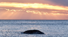 Ein toter Wal treibt vor der dänischen Insel Anholt. Ob es das Tier von Timmendorfer Strand ist, bleibt bislang unklar. Foto: Marcus Golejewski/dpa