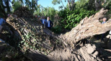 Innenminister Gerald Darmanin (C) betrachtet einen umgestürzten Baum, als er den Campingplatz Sagone in Sagone besucht. Foto: epa/Emmanuel Dunand