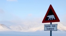 Ein Verkehrsschild, das vor den Gefahren durch überquerende Eisbären in Longyearbyen, Svalbard, Spitzbergen warnt. Foto: epa/Fredrik Ljone Holst