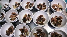 Schalen mit gekochten Schildkrötenteilen, die zu Schildkrötensuppe verarbeitet werden. Foto: epa/How Hwee Young