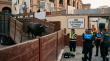 Nach dem tödlichen Vorfall beim Entladen der Kampfstiere in Málaga sichern Einsatzkräfte den Bereich der historischen Arena Plaza de la Malagueta ab. Foto: Der Farang (ai)