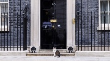 Kater Larry sitzt vor dem Amtssitz des britischen Premierministers in der Downing Street in London. Foto: EPA/Tolga Akmen