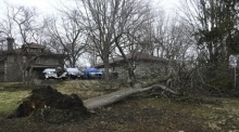 Nach einem Tornado in Belvidere umgestürzte Bäume. Foto: epa/Matt Marton