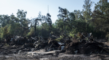 Nach dem Großbrand der ehemaligen Westernstadt „Foxville Ranch“ nahe dem Nürnberger Messegelände laufen die Aufräumarbeiten. Foto: dvo/dpa