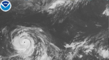 Dieses von der NOAA veröffentlichte via AP zur Verfügung gestellte Satellitenbild zeigt den Taifun Bavi, der sich im westlichen Pazifik in der Nähe von Guam entwickelt. Foto: Uncredited/Noaa/ap/dpa