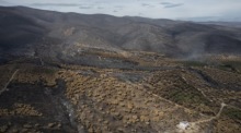 Ein Drohnenbild zeigt verbrannte Olivenhaine in der Nähe des Dorfes Makri, Alexandroupolis. Foto: epa/Achilleas Chiras