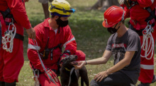 08.05.2022, Kuba, Havana: Mitglieder des Roten Kreuzes spielen mit einem Hund, der aus den Trümmern des explodierten Fünf-Sterne-Hotels Saratoga gerettet wurde. Foto: Ismael Francisco/Ap/dpa