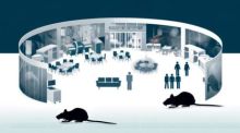 Englands NHS-Krankenhäuser kämpfen gegen eine Schädlingsinvasion, die von Ratten bis Kakerlaken reicht, und unterstreichen einen dringenden Handlungsbedarf. Foto generiert von OpenAI's DALL·E