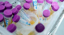 Tiefgefrorene Urinproben liegen in einem Labor des Landesamt für Natur, Umwelt und Verbraucherschutz (Lanuv) Nordrhein-Westfalen in einem Kühlschrank. Foto: Bernd Thissen/dpa