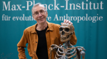 Der schwedische Evolutionsforscher Svante Pääbo steht im Max-Planck-Institut für evolutionäre Anthropologie in Leipzig an der Nachbildung eines Neandertaler-Skeletts. Foto: Hendrik Schmidt/dpa