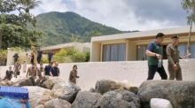 Vertreter des Department of Business Development (DBD) beteiligen sich an verstärkten Kontrollen gegen mutmaßliche Nominee-Unternehmen auf Koh Phangan. Bild: Naewna