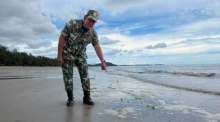 Ein Mitarbeiter des Nationalparks untersucht Schaumablagerungen am Mae Ramphueng Beach nach einer ungewöhnlichen Verfärbung des Meerwassers. Bild: Khao Laem Ya–Mu Ko Samet National Park