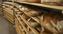 Frische Brote stehen in einer Kieler Bäckerei vor dem Start eines „Sauerteighotels“ für die Urlaubsbetreuung von Sauerteig. Foto: dpa/Frank Molter