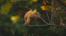 Foto von Andy Holmes auf Unsplash