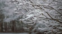 Foto: unsplash/Maddy Baker