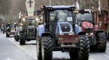 Französische Landwirte aus der Region Okzitanien nehmen an einer Vorführung mit ihren Traktoren in Toulouse teil. Foto: EPA-EFE/Guillaume Horcajuelo