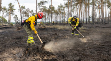 Zwei Feuerwehrfrauen bearbeiten den Waldboden. Müssen wir uns künftig an solche Bilder gewöhnen oder gibt es Wege, wie wir unsere Wälder besser schützen können? Foto: Daniel Schäfer/dpa