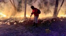 Einsatzkräfte kämpfen bei extremer Hitze gegen die Flammenfronten in den Wäldern von Phetchaburi. Foto: Hua Hin Sarn