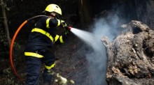 Die Feuerwehr bekämpft einen Waldbrand in der Nähe des Dorfes Hrensko. Archivfoto: epa/RAY BASELEY