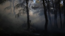 Verbrannte Waldflächen in den Bergen bei Larnaka – die verheerendsten Brände seit Staatsgründung zwangen viele Menschen zur Flucht. Foto: epa/Katia Christodoulou