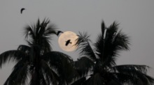 Der letzte Supermond des Jahres, die «Cold Moon», leuchtet beeindruckend über dem nächtlichen Himmel von Yangon. Foto: epa/Nyein Chan Naing