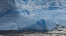 Kaiserpinguine im Weddellmeer. Im australischen Hobart startet am 16.10.2023 die zweiwöchige Jahrestagung der Antarktis-Kommission CCAMLR. Foto: John Weller/dpa