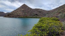 Auf diesem undatierten vom mexikanischen Umweltministerium zur Verfügung gestellten Bild ist ein Küstengebiet am Nationalpark Loreto II zu sehen. Foto: Semarnat/dpa