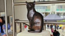 Dieses undatierte, von der Universität Essex herausgegebene Foto zeigt eine Statue von des Katers Pebbles. Foto: University Of Essex/Pa Media/dpa
