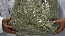 Die Behörden beschlagnahmten 287 Kilogramm Cannabis, das als Kaffeebohnen getarnt für den Export nach Deutschland und Großbritannien bestimmt gewesen sein soll. Archivbild: epa/Rungroj Yongrit