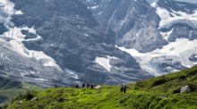 Schweizer Alpen. Foto: Peter Schneider/Keystone/dpa