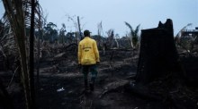 Die Feuerwehr inspiziert ein von Waldbränden betroffenes Gebiet im Amazonasgebiet in der Nähe von Apui, Brasilien. Foto: epa/Fernando Bizerra Jr.